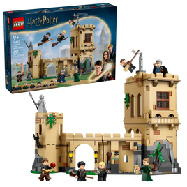 LEGO HARRY POTTER 76447 Castello di Hogwarts™: Lezioni di volo